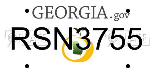 RSN3755 Georgia License Plate