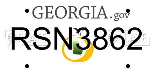 RSN3862 Georgia License Plate