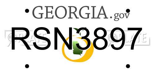 RSN3897 Georgia License Plate