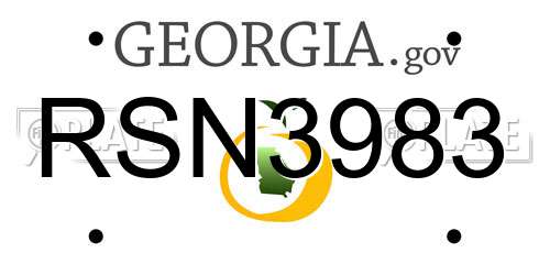 RSN3983 Georgia License Plate