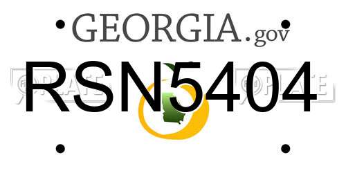RSN5404 Georgia License Plate
