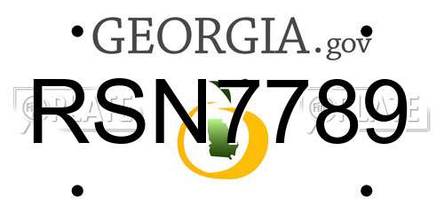 RSN7789 Georgia License Plate