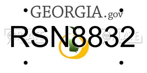 RSN8832 Georgia License Plate