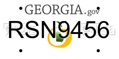 RSN9456 Georgia License Plate