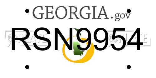 RSN9954 Georgia License Plate
