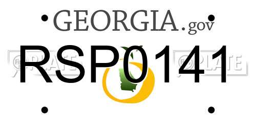 RSP0141 Georgia License Plate