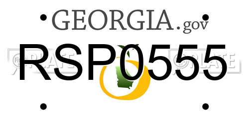 RSP0555 Georgia License Plate