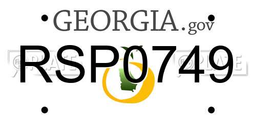 RSP0749 Georgia License Plate