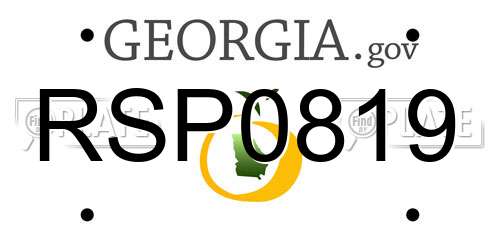 RSP0819 Georgia License Plate