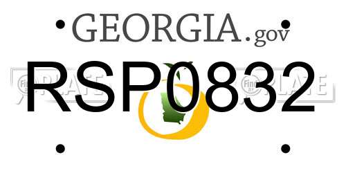 RSP0832 Georgia License Plate