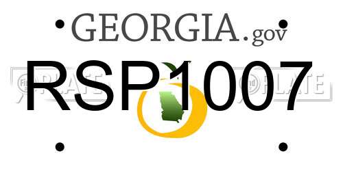 RSP1007 Georgia License Plate