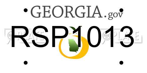 RSP1013 Georgia License Plate