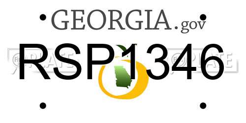 RSP1346 Georgia License Plate