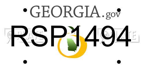 RSP1494 Georgia License Plate
