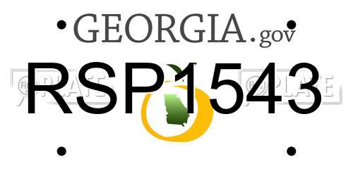 RSP1543 Georgia License Plate