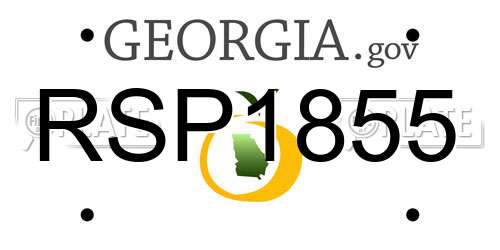 RSP1855 Georgia License Plate
