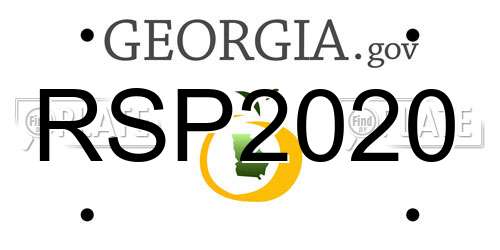 RSP2020 Georgia License Plate