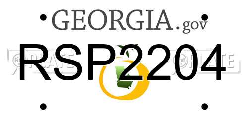 RSP2204 Georgia License Plate
