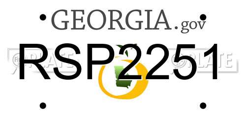 RSP2251 Georgia License Plate
