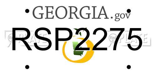 RSP2275 Georgia License Plate