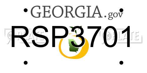 RSP3701 Georgia License Plate