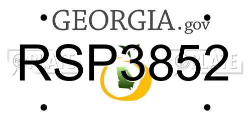 RSP3852 Georgia License Plate