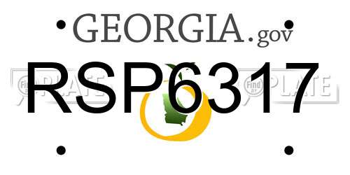 RSP6317 Georgia License Plate