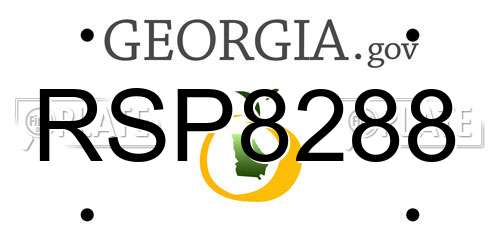 RSP8288 Georgia License Plate