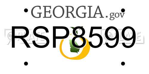 RSP8599 Georgia License Plate