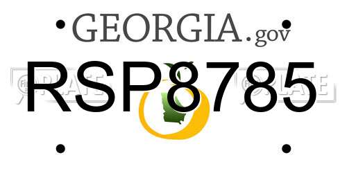 RSP8785 Georgia License Plate