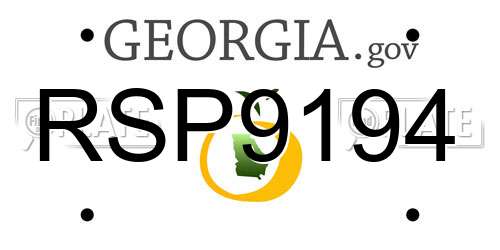 RSP9194 Georgia License Plate