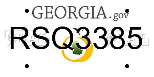 RSQ3385 Georgia License Plate