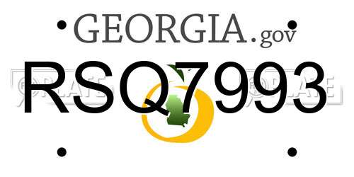 RSQ7993 Georgia License Plate