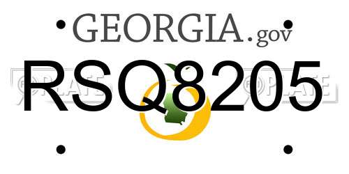 RSQ8205 Georgia License Plate