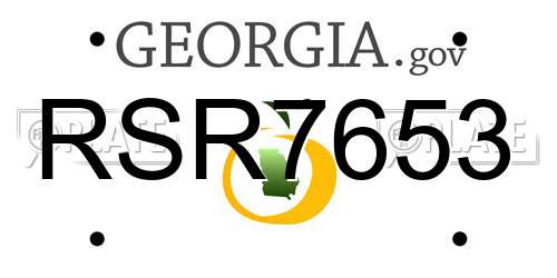 RSR7653 Georgia License Plate