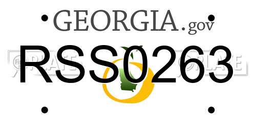 RSS0263 Georgia License Plate