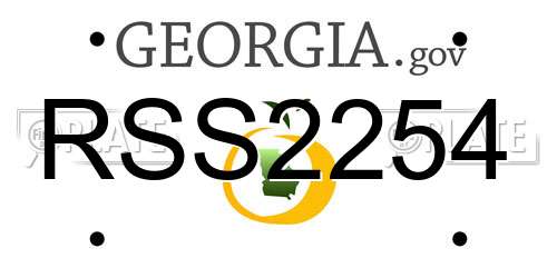 RSS2254 Georgia License Plate