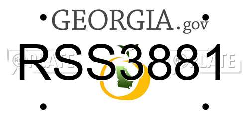 RSS3881 Georgia License Plate