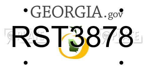 RST3878 Georgia License Plate