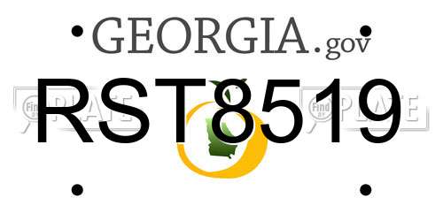 RST8519 Georgia License Plate