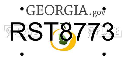 RST8773 Georgia License Plate