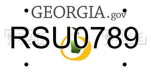 RSU0789 Georgia License Plate