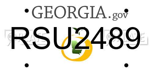 RSU2489 Georgia License Plate