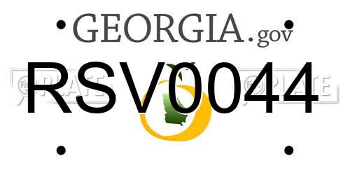 RSV0044 Georgia License Plate