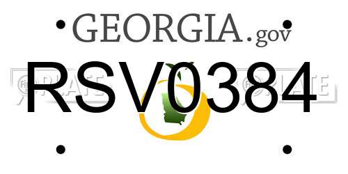 RSV0384 Georgia License Plate