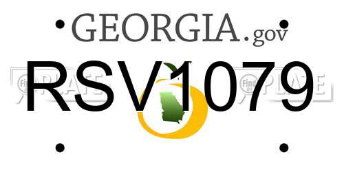 RSV1079 Georgia License Plate