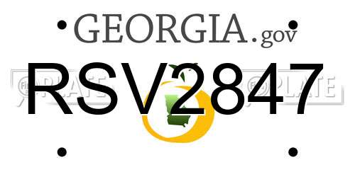 RSV2847 Georgia License Plate