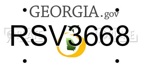 RSV3668 Georgia License Plate