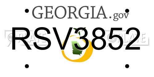RSV3852 Georgia License Plate