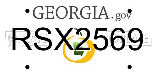 RSX2569 Georgia License Plate